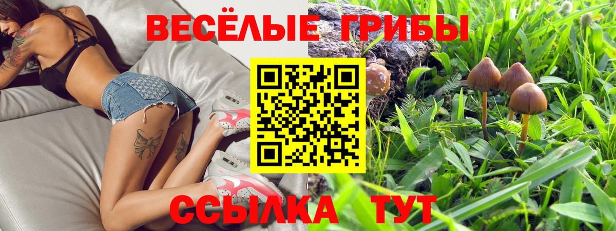продажа наркотиков  Вход с VPN  Кинель  Псилоцибиновые грибы Psilocybine cubensis 