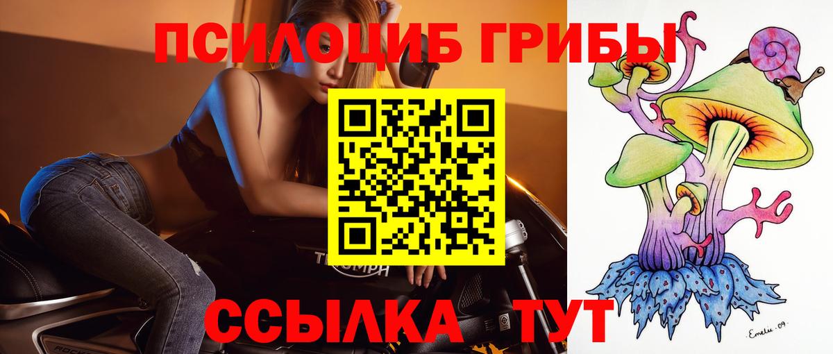 Псилоцибиновые грибы прущие грибы Кинель